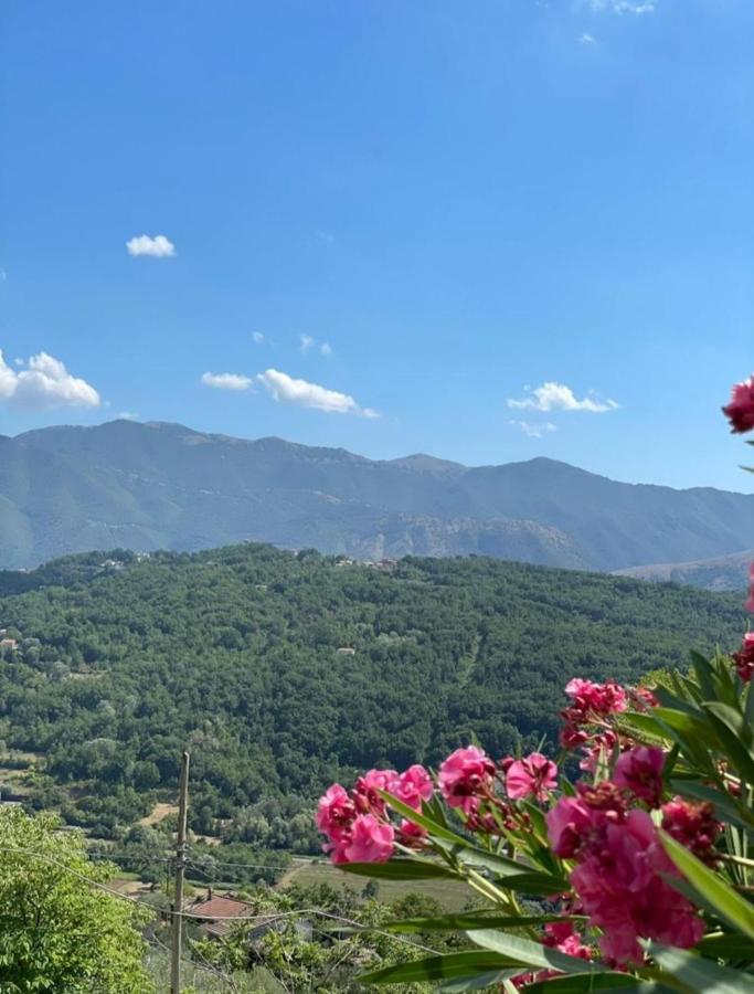 B&B Il Campanile Vicalvi Екстериор снимка